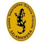 salamandra