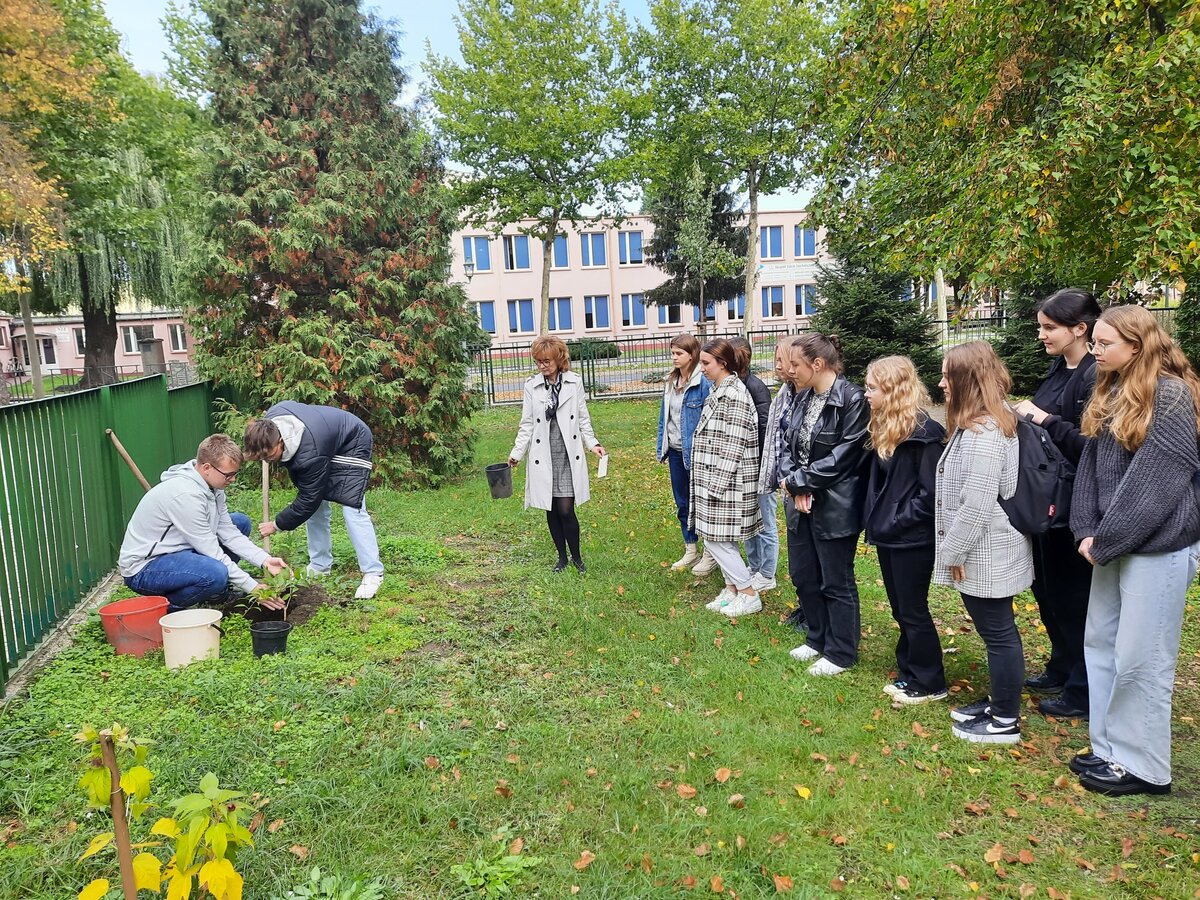 Arbor Day (Dzień Drzewa) w Grodziskim
