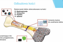 Wykład otwarty - Politechnika Poznańska 