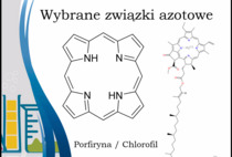 „Od nadpsutej ryby do materiałów wybuchowych – różne oblicza organicznych związków azotu”