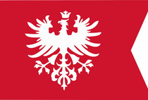 107.rocznica wybuchu Powstania Wielkopolskiego
