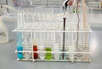 Magia probówek i „chemiczny ogród”, czyli licealiści na Wydziale Chemii UAM