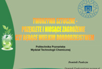 Plastikowy świat – przekleństwo czy fundament cywilizacji?